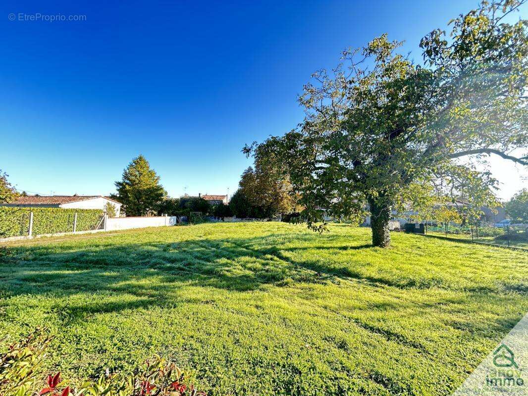 Terrain à CHATEAUNEUF-SUR-CHARENTE