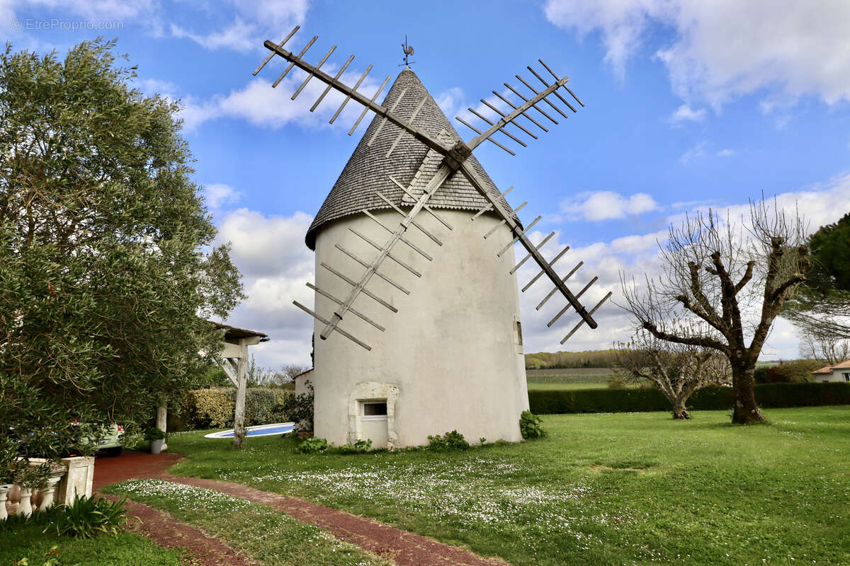 Charentaise + Moulin - photo 14