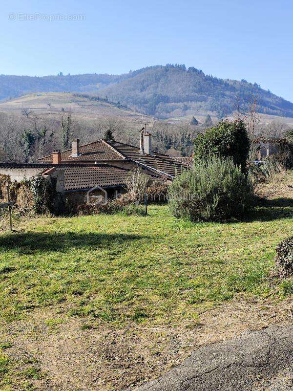 Terrain à VAUX-EN-BEAUJOLAIS
