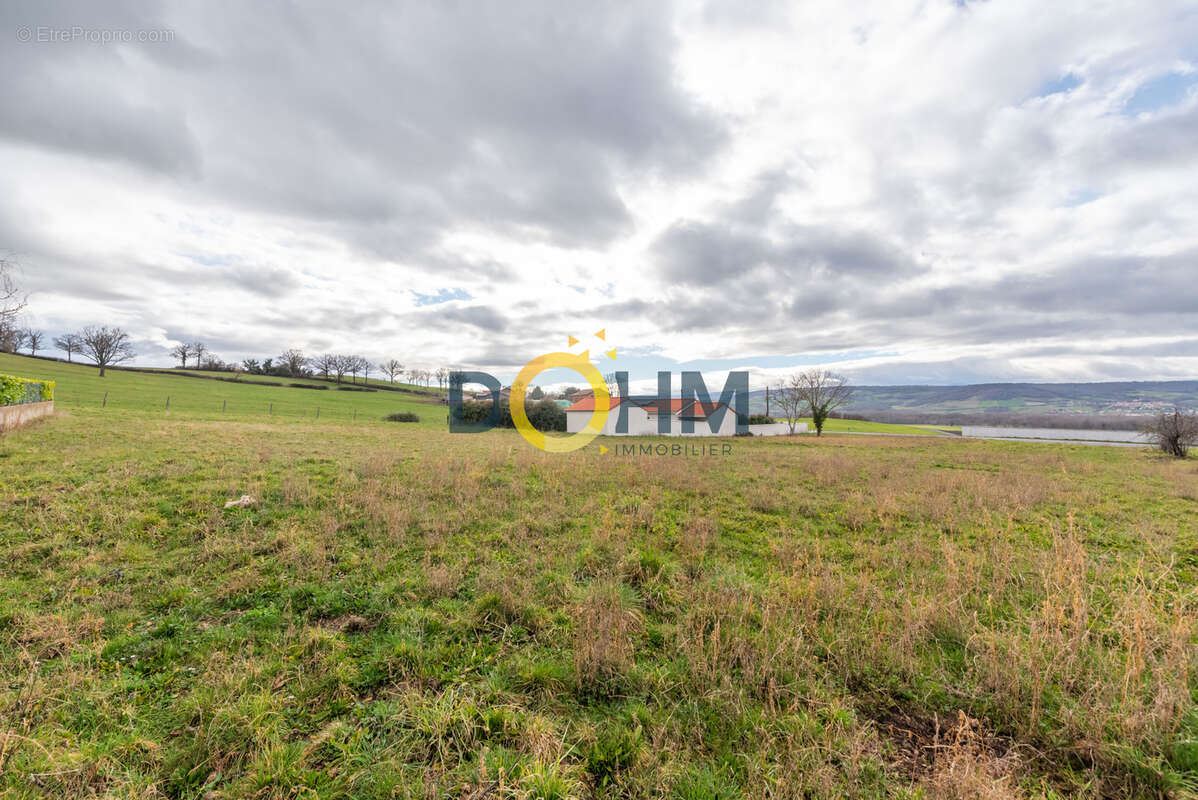 Terrain à SAINTE-FLORINE