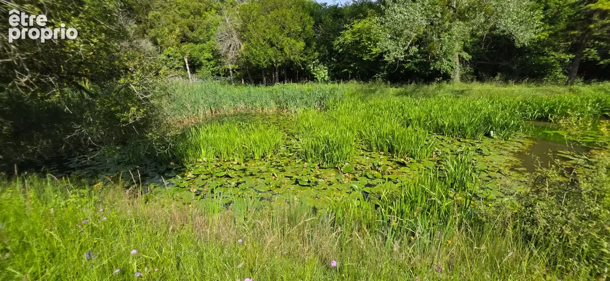 LEIGNÉ Les Bois, proche bourg - photo 6