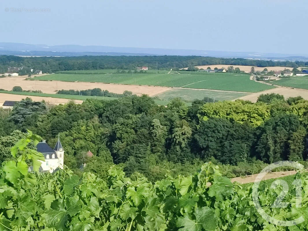 Maison 98 m² à Sainte-Gemme-En-Sancerrois  - photo 24