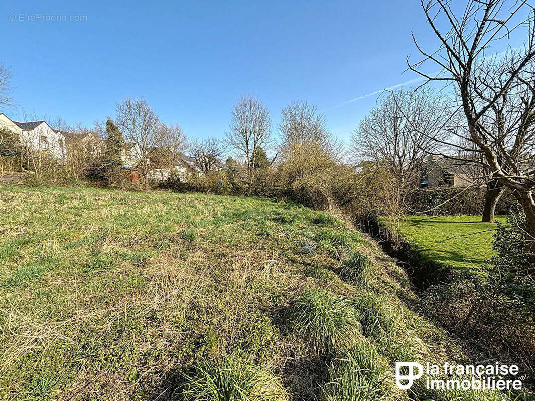 Terrain à NOUVOITOU