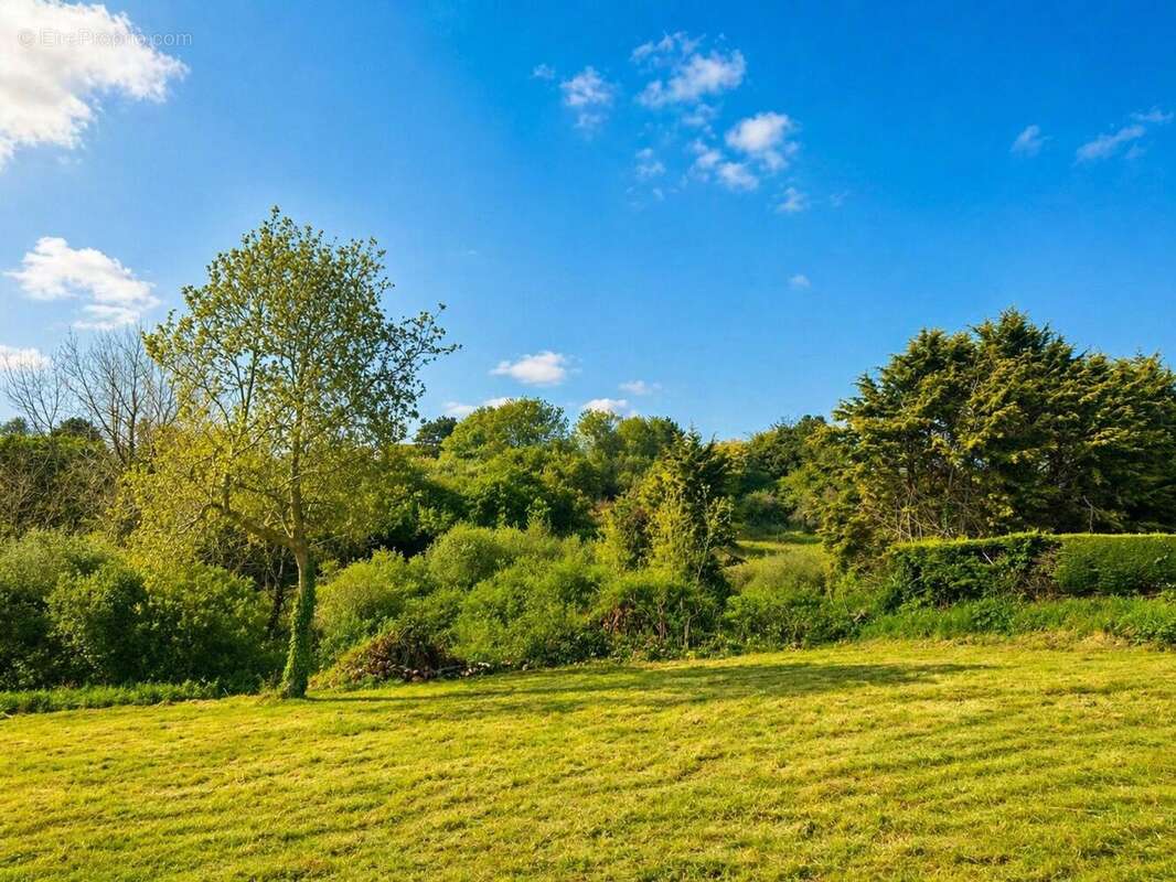 Photo 2 - Terrain à PLOUGOULM