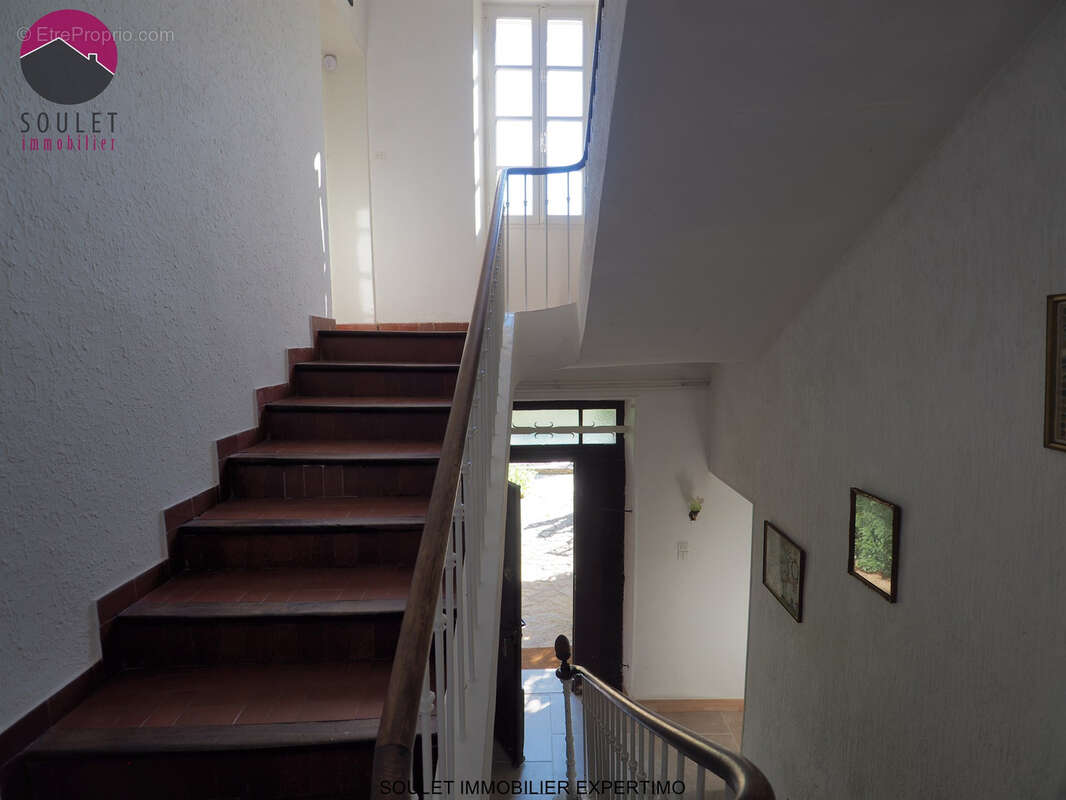 Grand gîte avec Piscine face au Mont Ventoux - photo 32