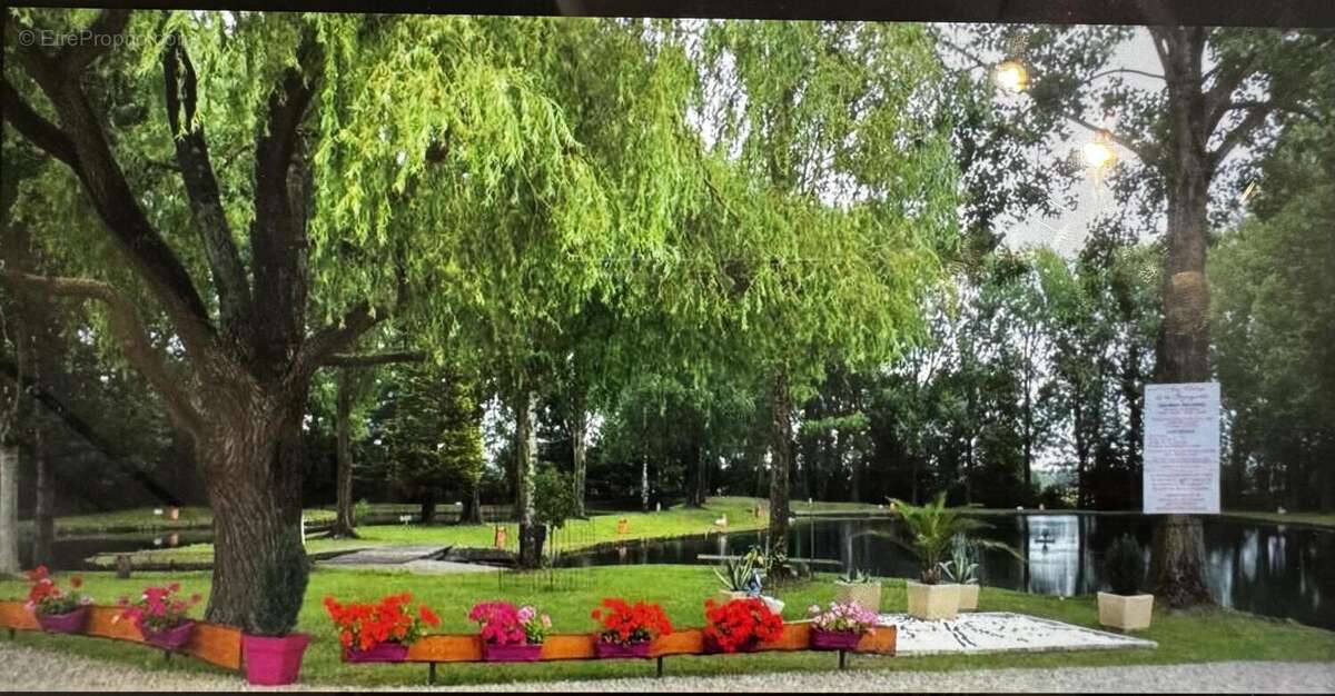 Commerce à ESCAUTPONT