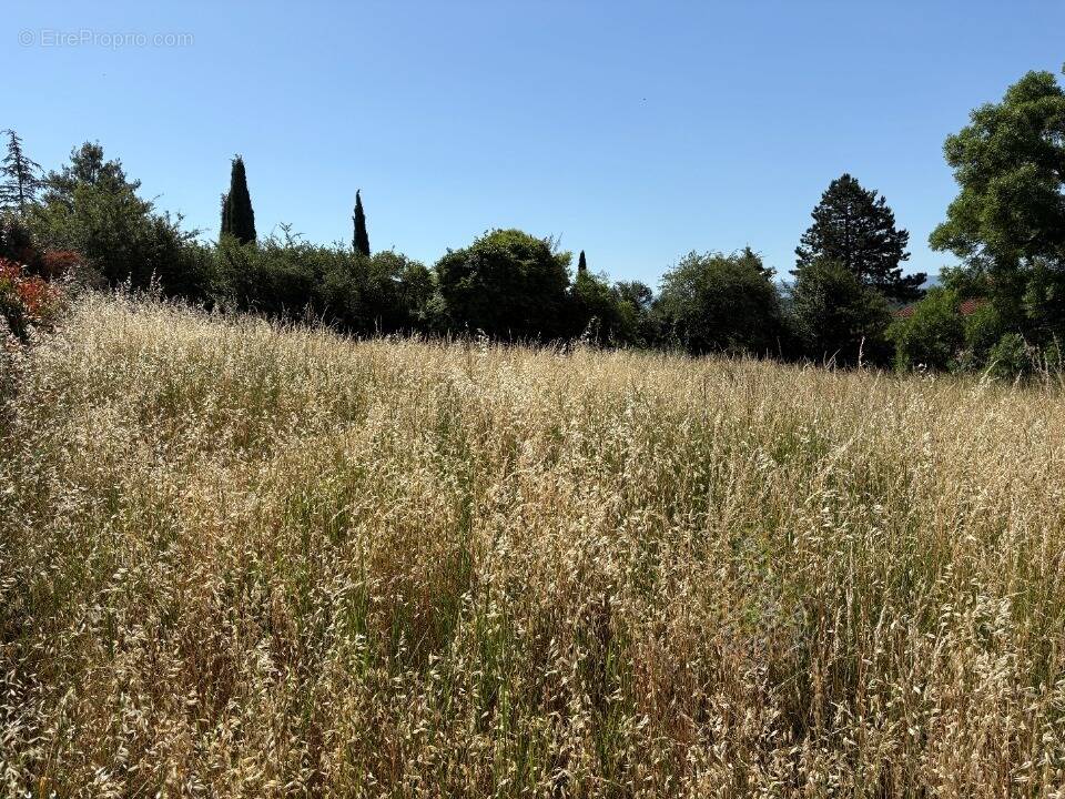 Terrain à CASTRES