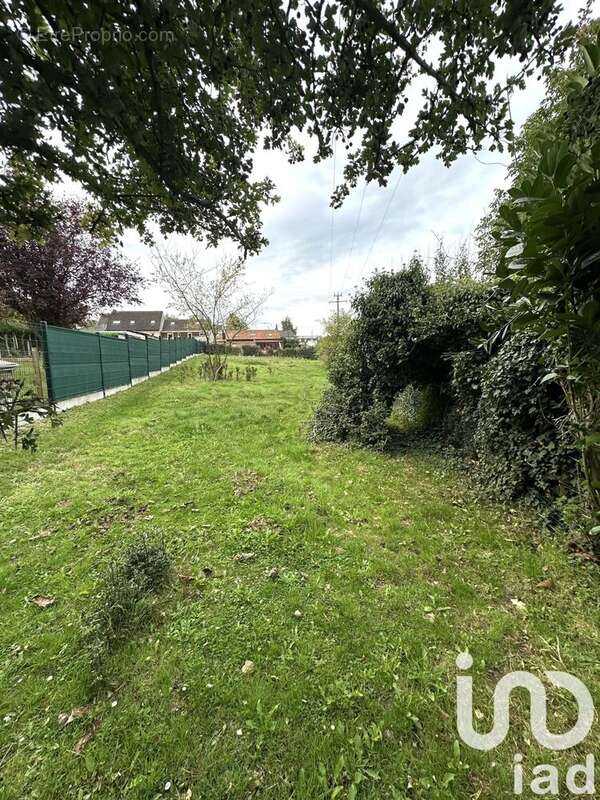 Photo 3 - Terrain à MAISNIL-LES-RUITZ