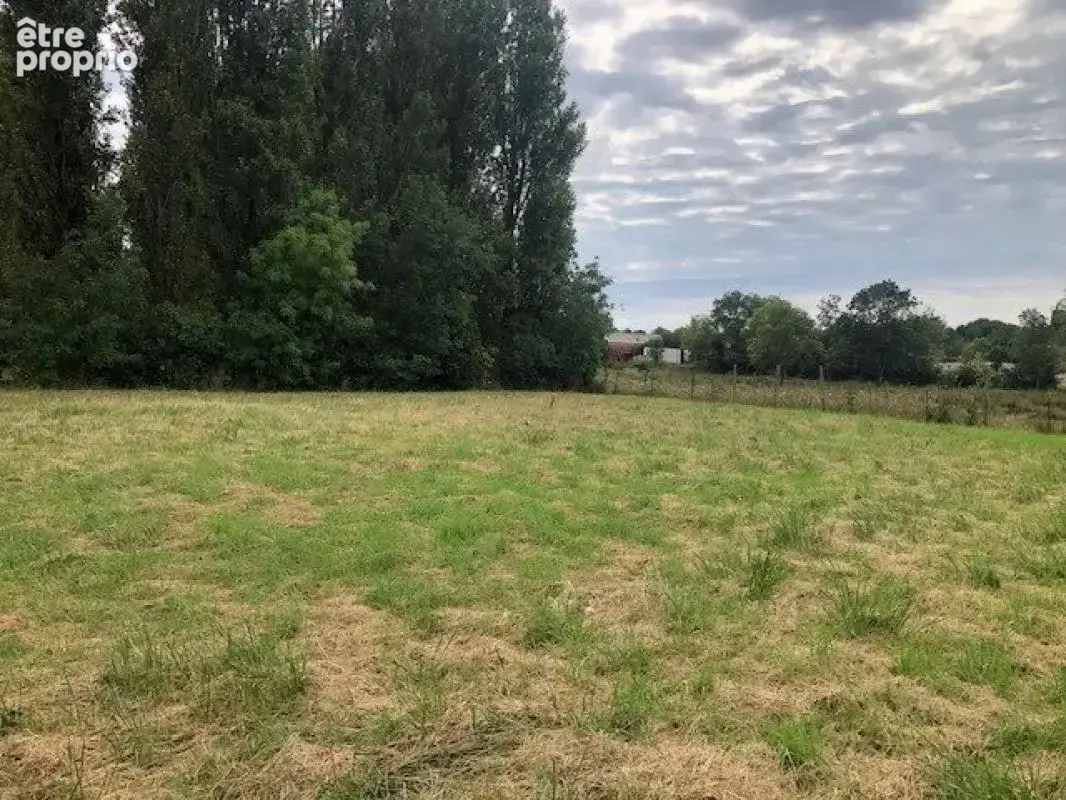 Ensemble immobilier spacieux et calme à 2 km de Marennes centre (17320) - photo 15