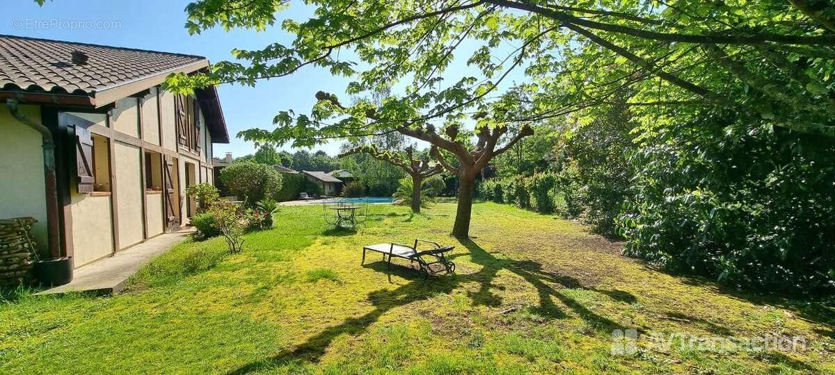 Maison 128 m² à Tosse  - photo 147