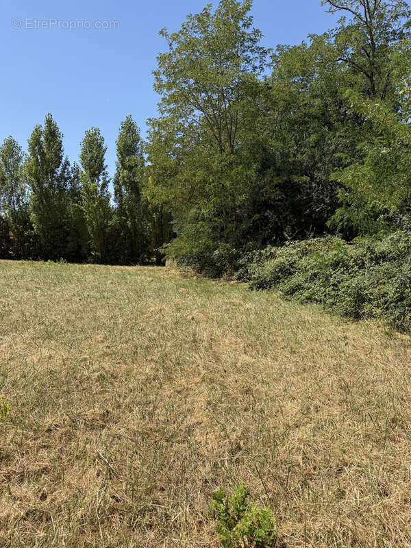 Terrain 2019M2 - photo 3