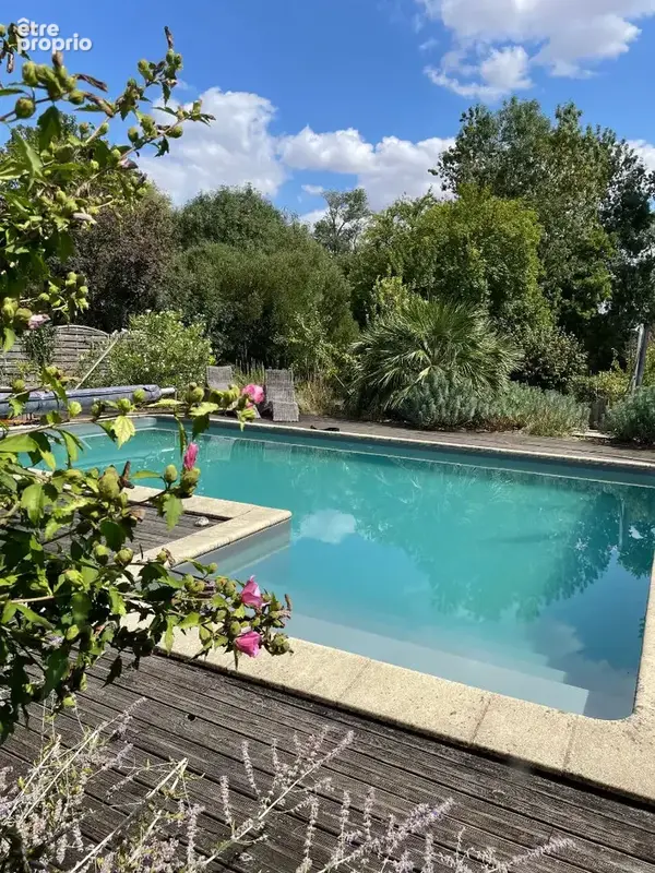ARDILLIÈRES - Charentaise de charme avec maison d'amis, piscine et dépendances. - photo 3
