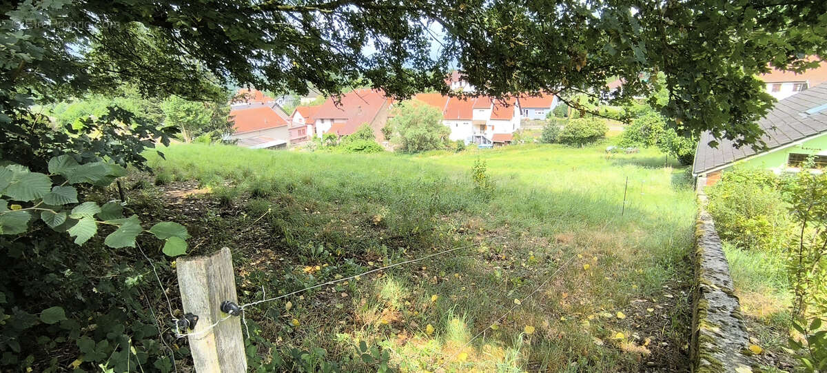 TERRAIN RARE   Hors lotissement - 16,26 ares à Vilsberg - photo 3