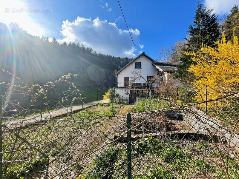 Maison à SAINTE-CROIX-AUX-MINES
