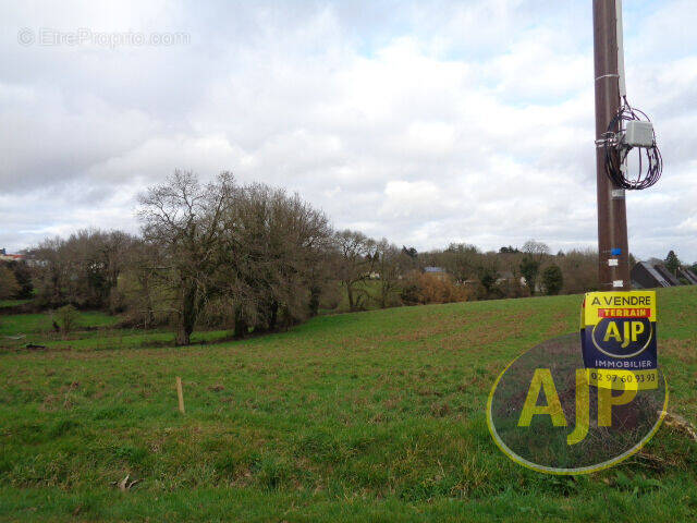Terrain à PLUMELEC
