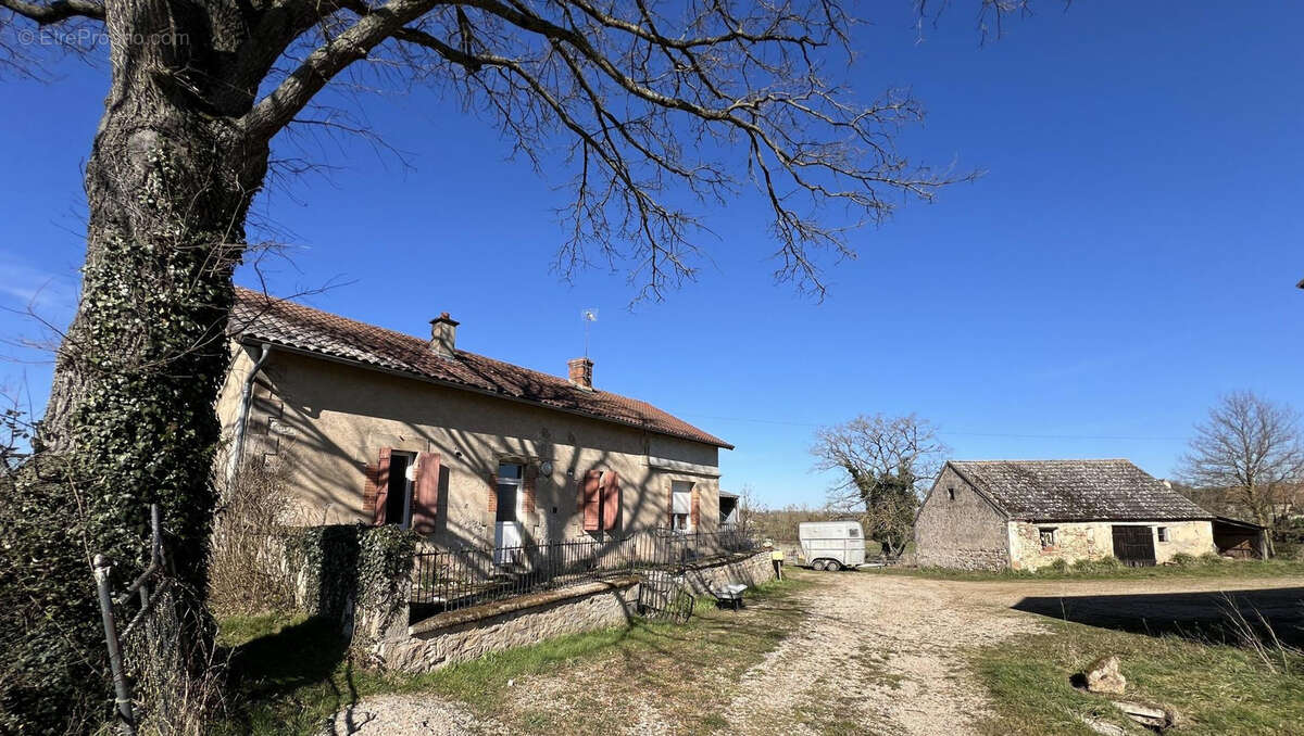 Exploitation céréalière de 170ha dans l'Allier (03) - photo 10