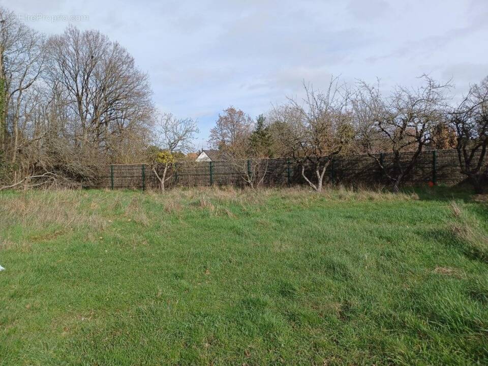 Terrain à MONTBAZON