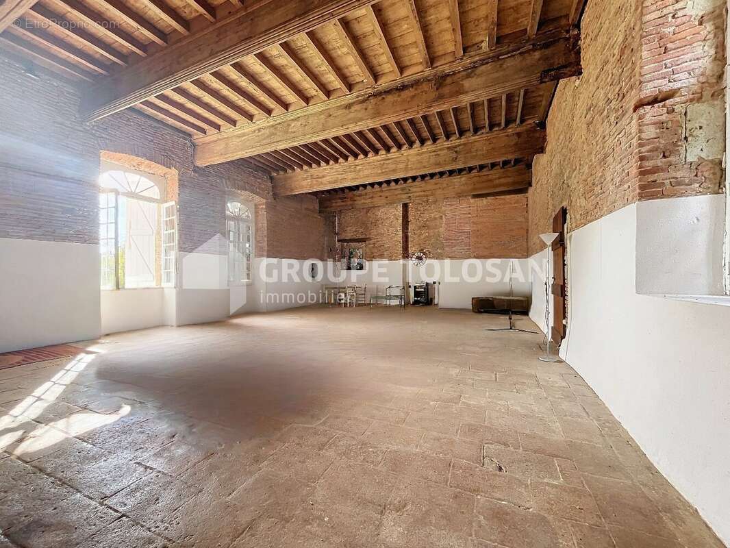 Maison 360 m² à Auterive  - photo 9