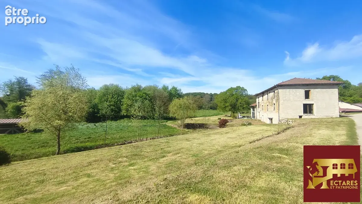 Ancien Moulin 4,3 hectares - photo 11