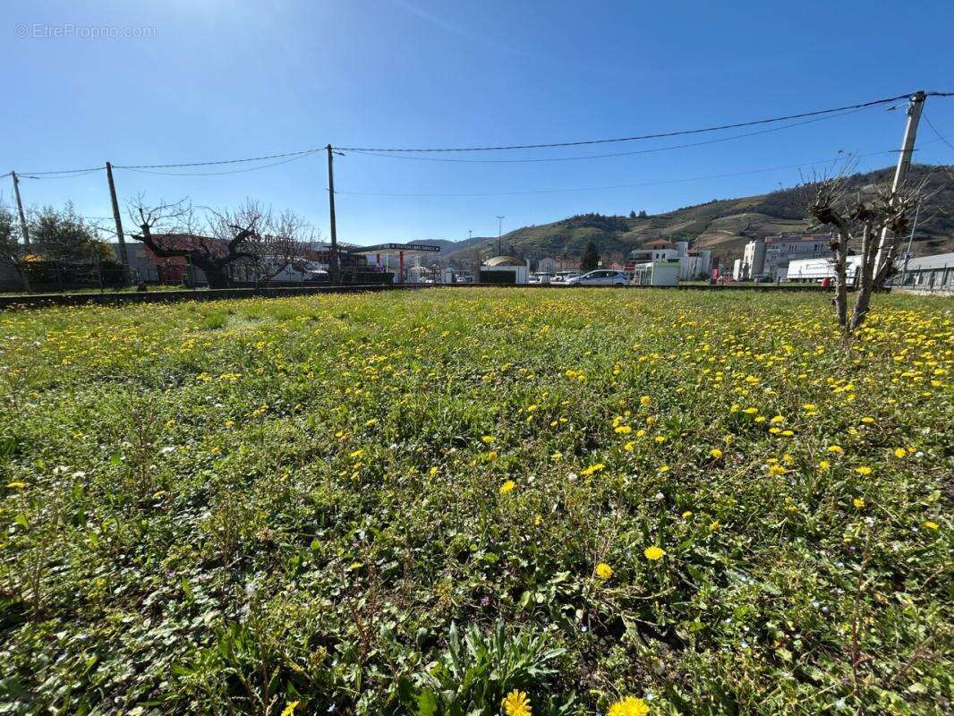 Maison à TOURNON-SUR-RHONE
