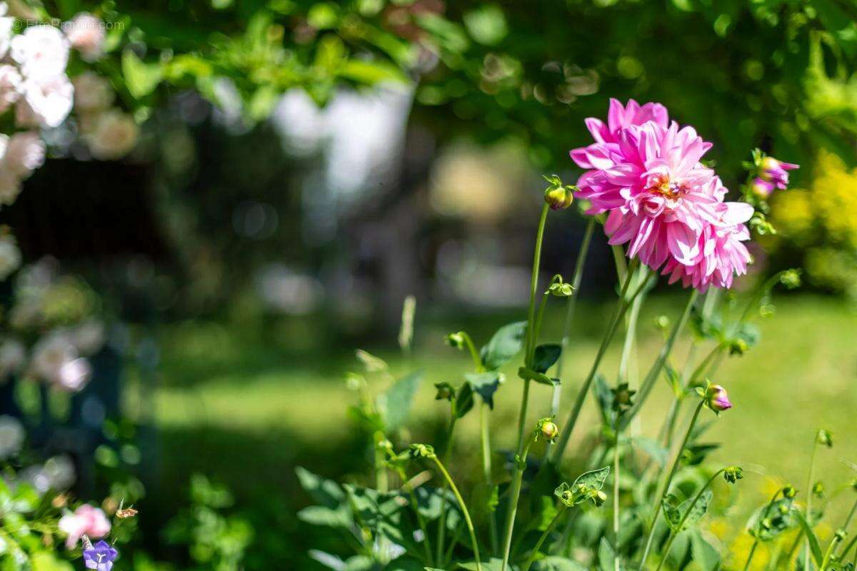 Maison à MAXILLY-SUR-LEMAN