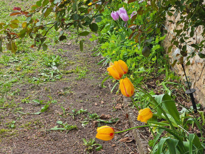 Maison à ROCQUENCOURT
