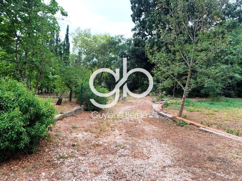 Terrain à LA BOISSIERE