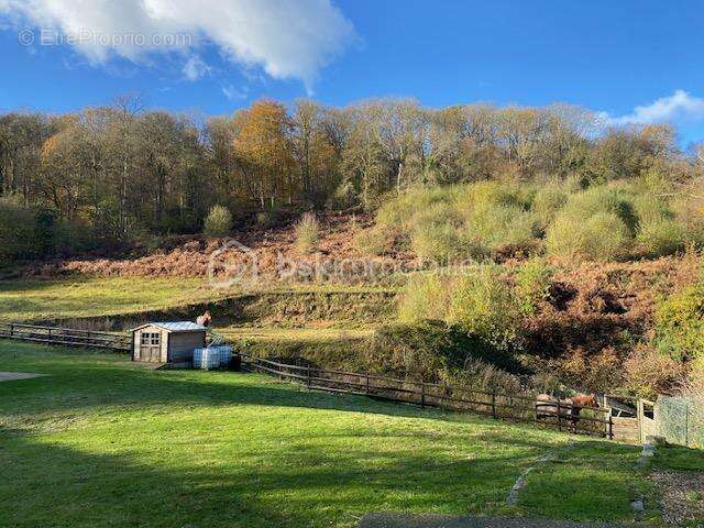 Entre Pont-Audemer et Montfort sur Risle - photo 13