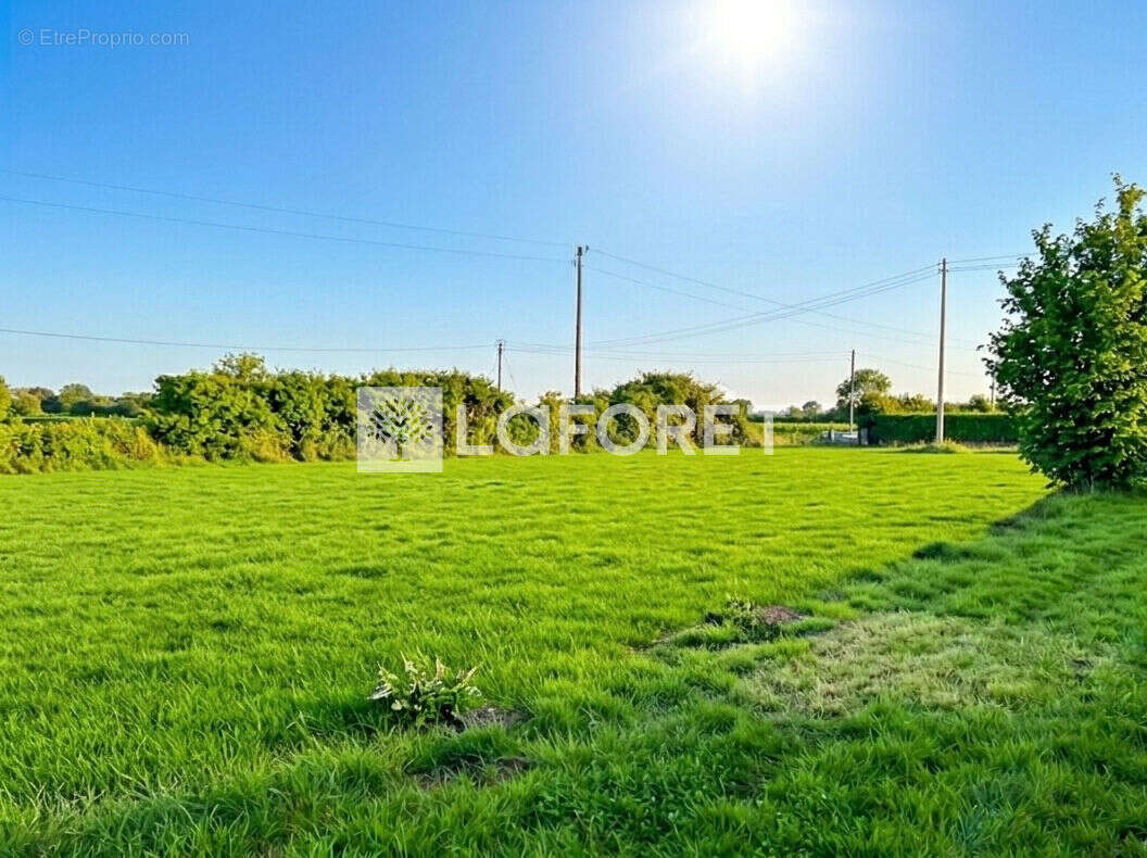 À vendre terrain constructible d'une superficie totale de 1 000 m² - photo 2