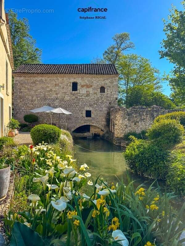 Maison à MONTCUQ