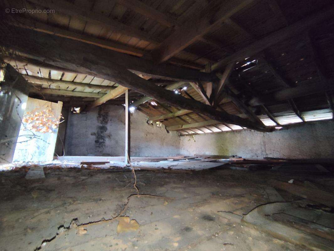 Autre à LE PIAN-MEDOC