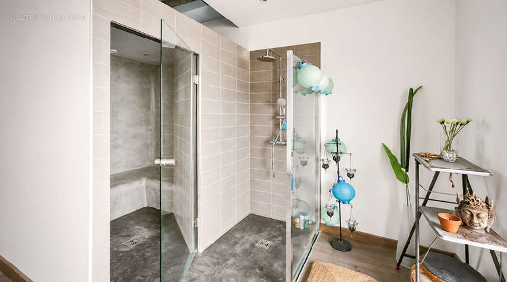 Maison 363 m² à Bourg-Saint-Andeol  - photo 8