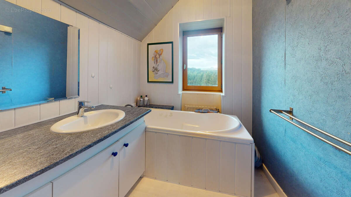 Maison à SAINT-DIDIER-EN-VELAY