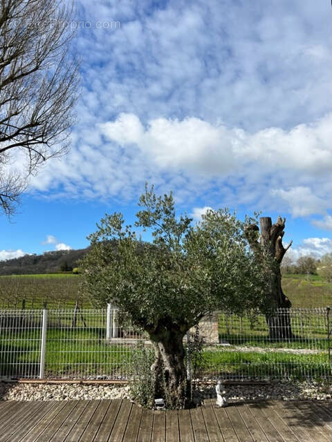 Maison à CONDEZAYGUES