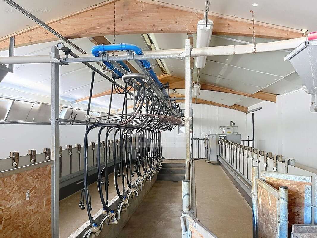 Exploitation en ovin lait - agriculture biologique - Aveyron (12) - photo 9