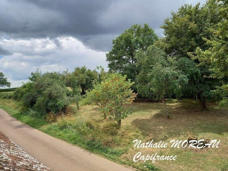 Fermette a vendre sur la commune de DIANCEY - Idéal gite, chambre d'hôtes, maison familiale - photo 35