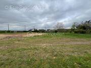 Terrain à ANGERVILLE