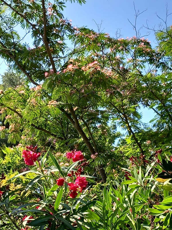 Maison à LES SABLES-D'OLONNE