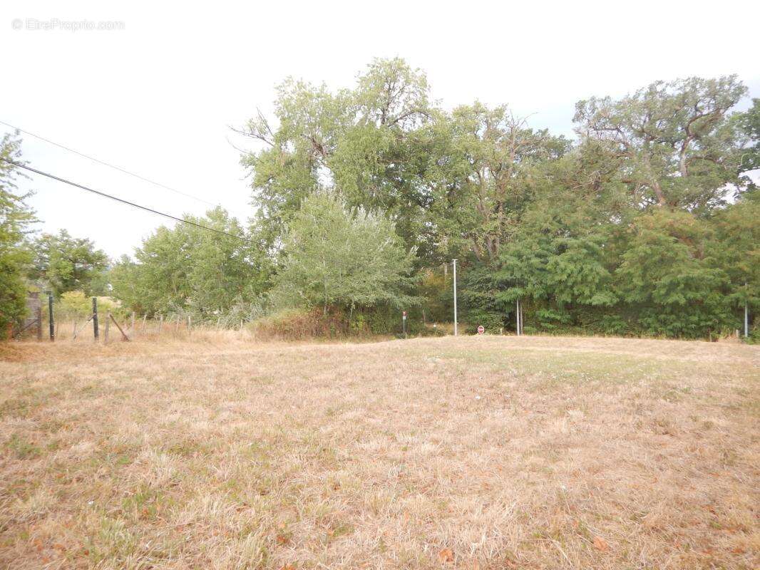 Terrain à bâtir situé sur la commune de Champcevinel (24) - photo 2