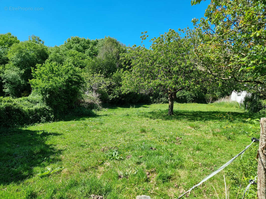 Maison à NOYAL-CHATILLON-SUR-SEICHE