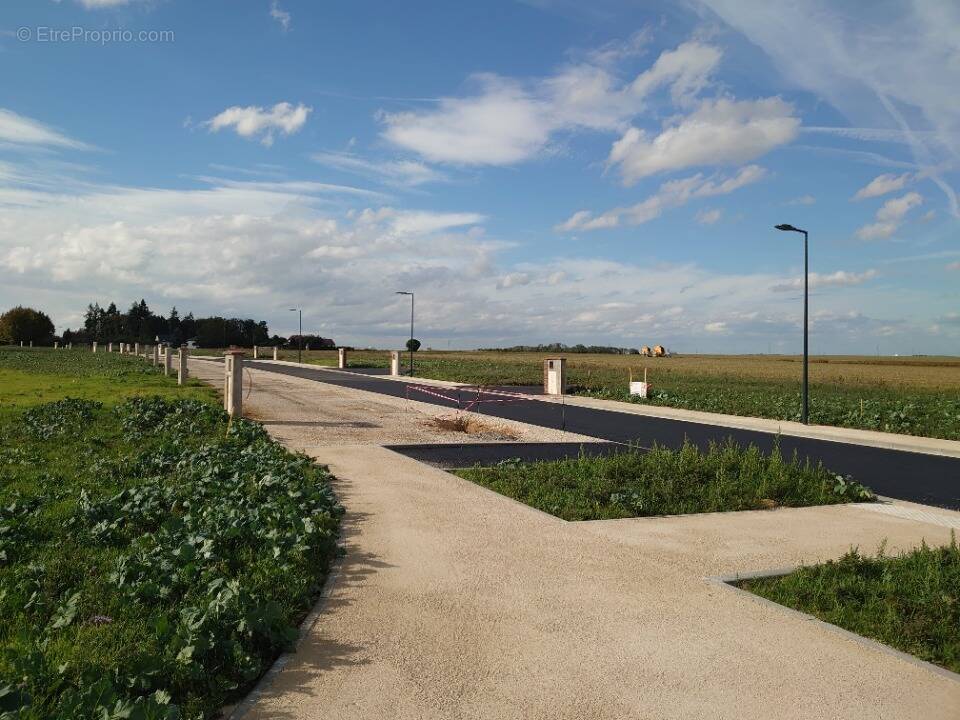 Terrain à LES ESSARTS-LE-ROI