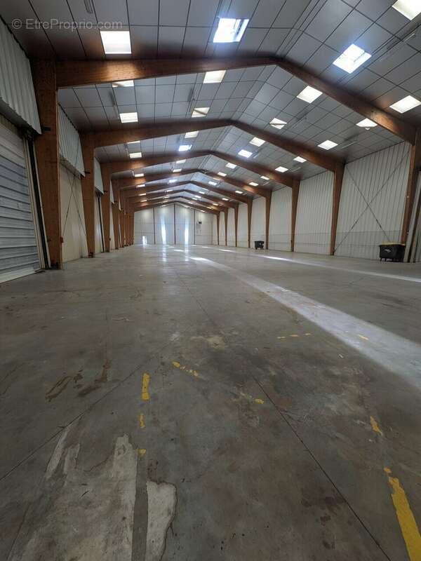 730 m² à La Saussaye  - photo 2