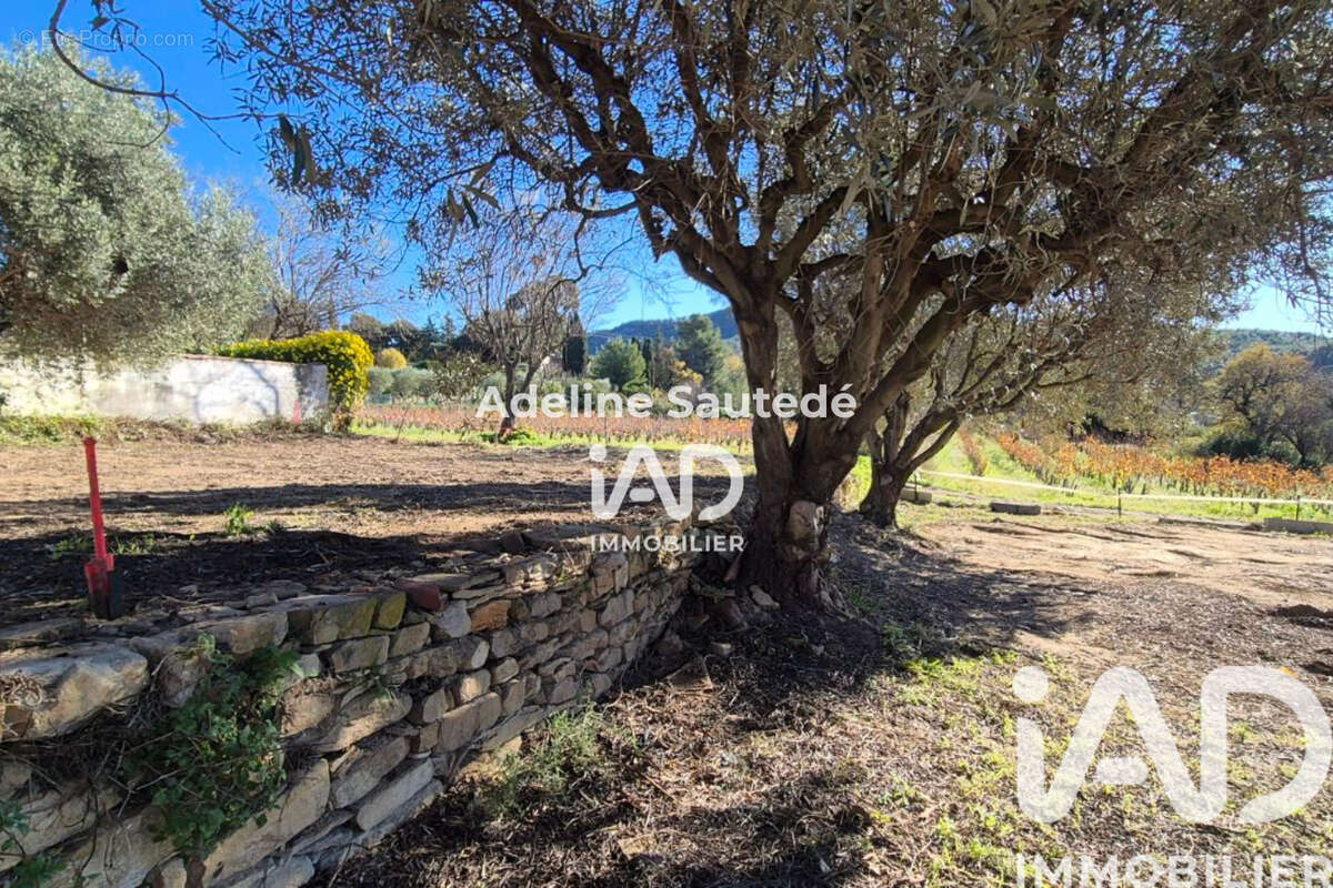 Photo 7 - Terrain à SAINT-CYR-SUR-MER