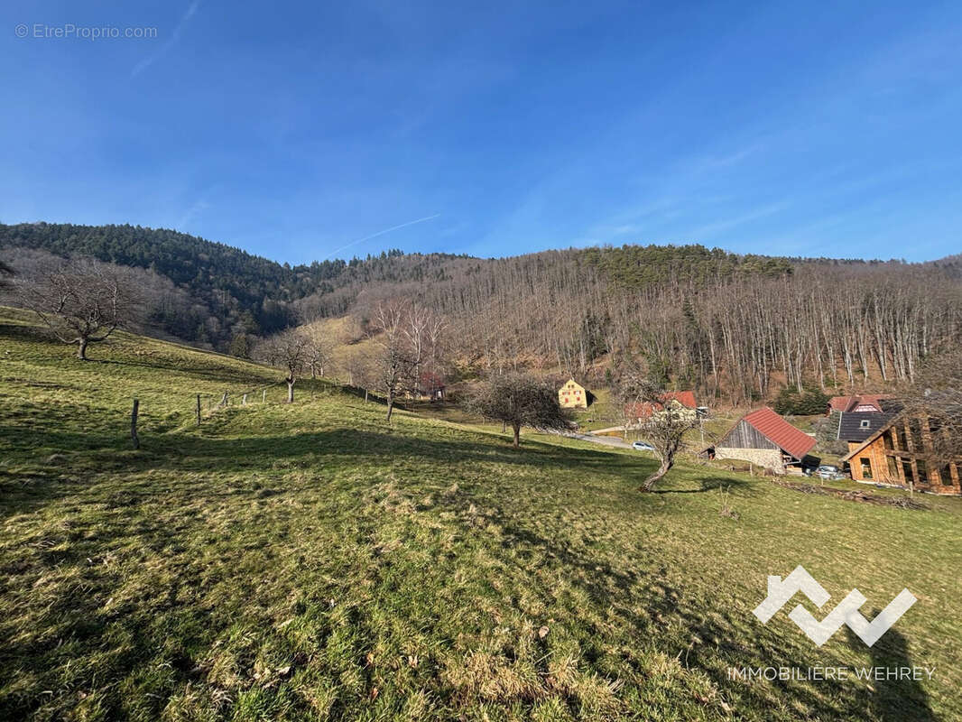 Terrain à WASSERBOURG