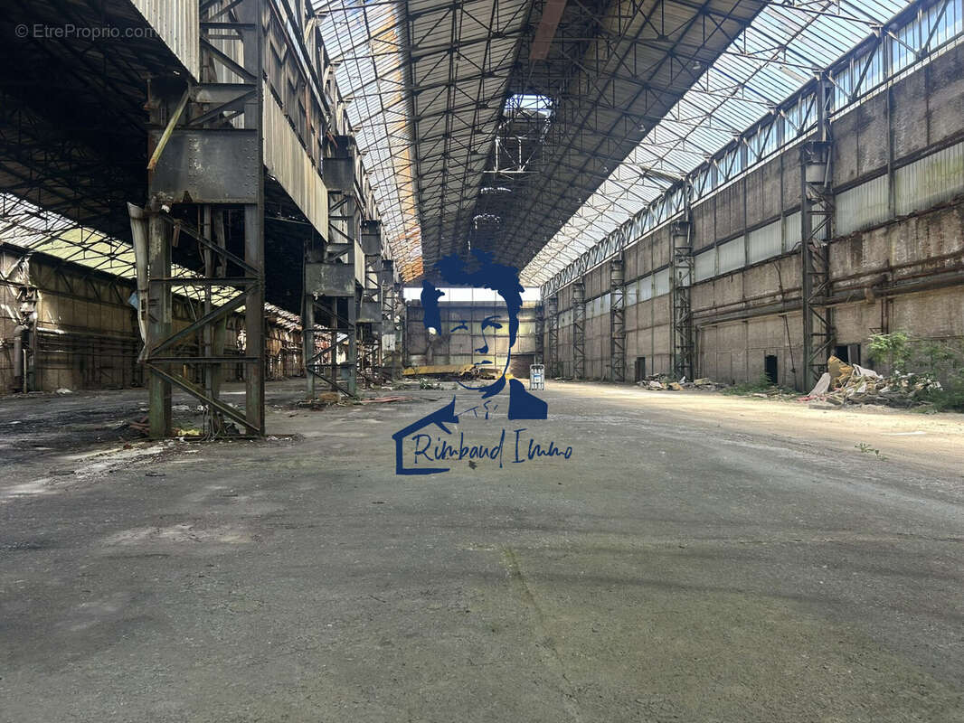 Commerce 35000 m² à Blagny  - photo 3