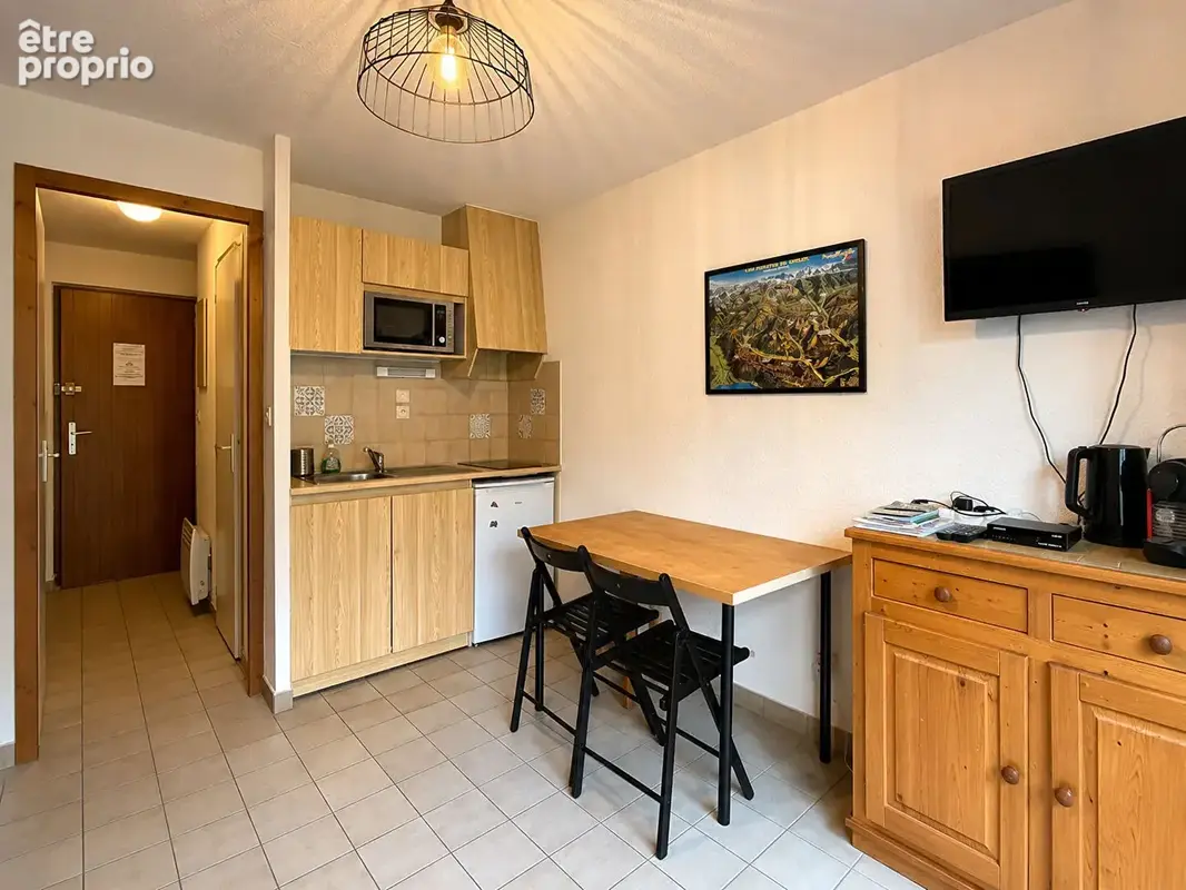 Appartement Saint Jean D Aulps 1 pièce 19.52 m2 + cave - photo 3