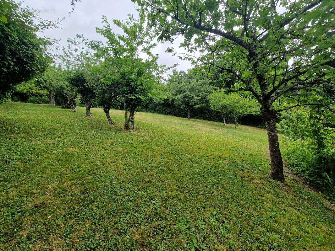 Maison à CHATILLON-SUR-CHER