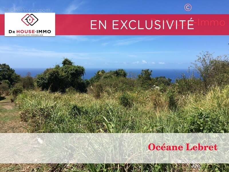 Terrain à VIEUX-HABITANTS