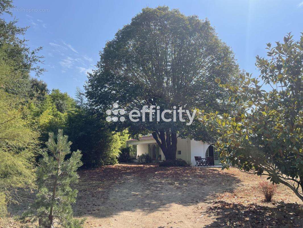 Maison à DOLUS-D'OLERON