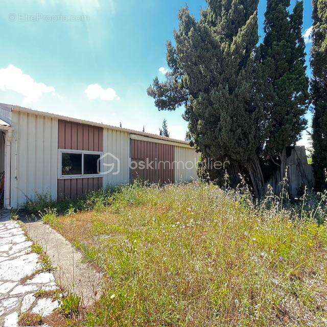 *** maison plain-pied - 2 chambres - hangar - jardin *** - photo 3
